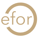 logo Efor