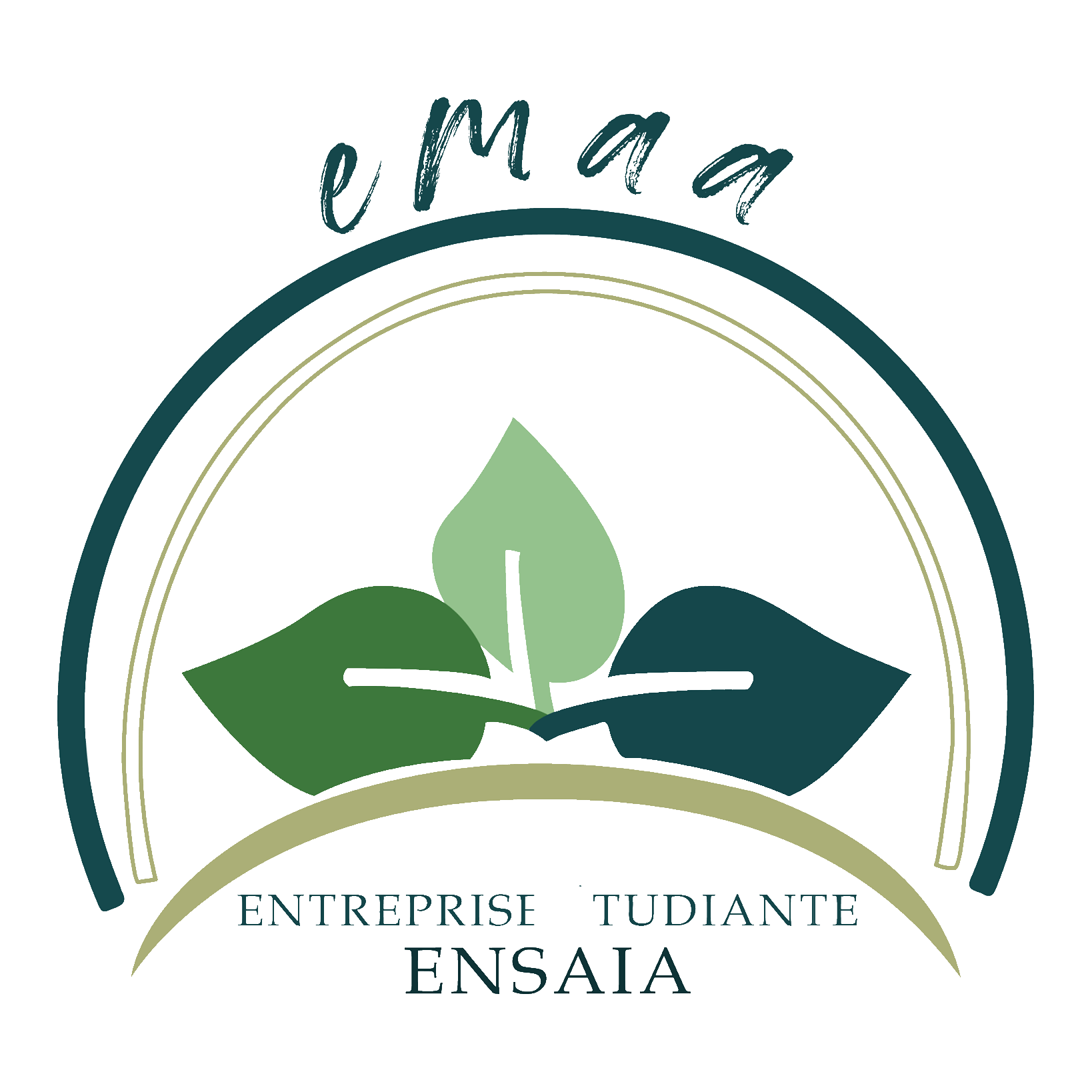 logo EMAA