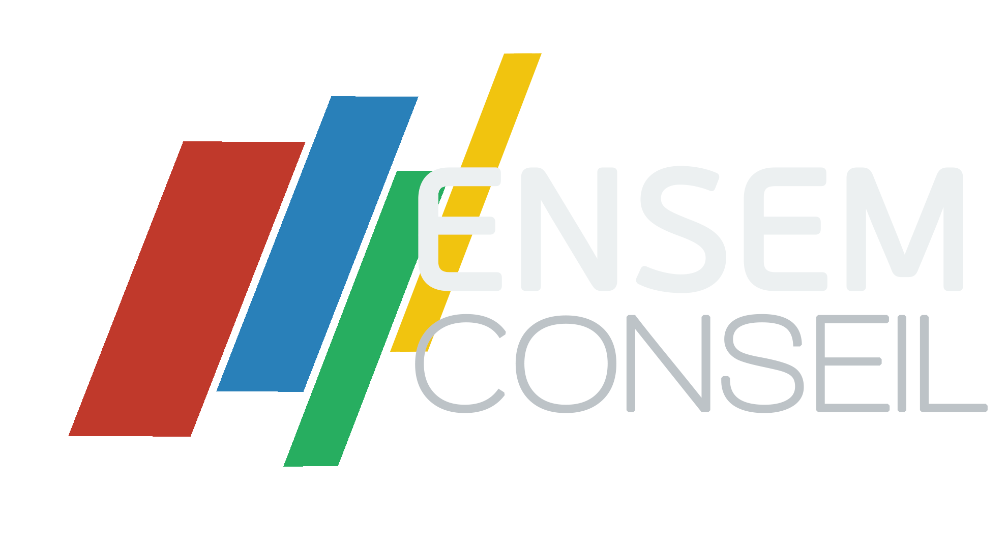 Logo d'ENSEM Conseil