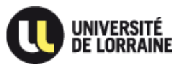 logo Université de Lorraine